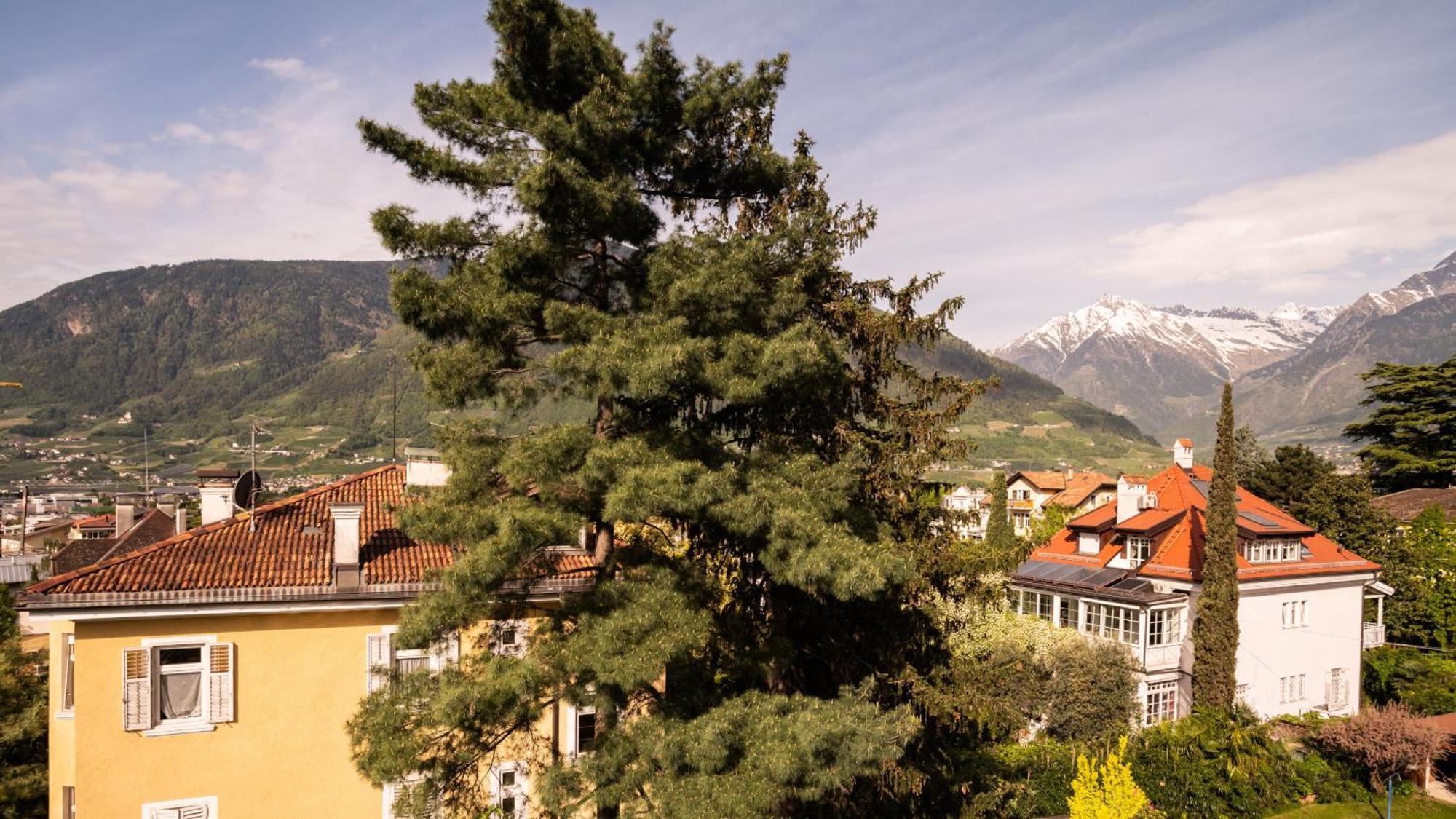 Hotel Villa Laurus Merano Exterior foto